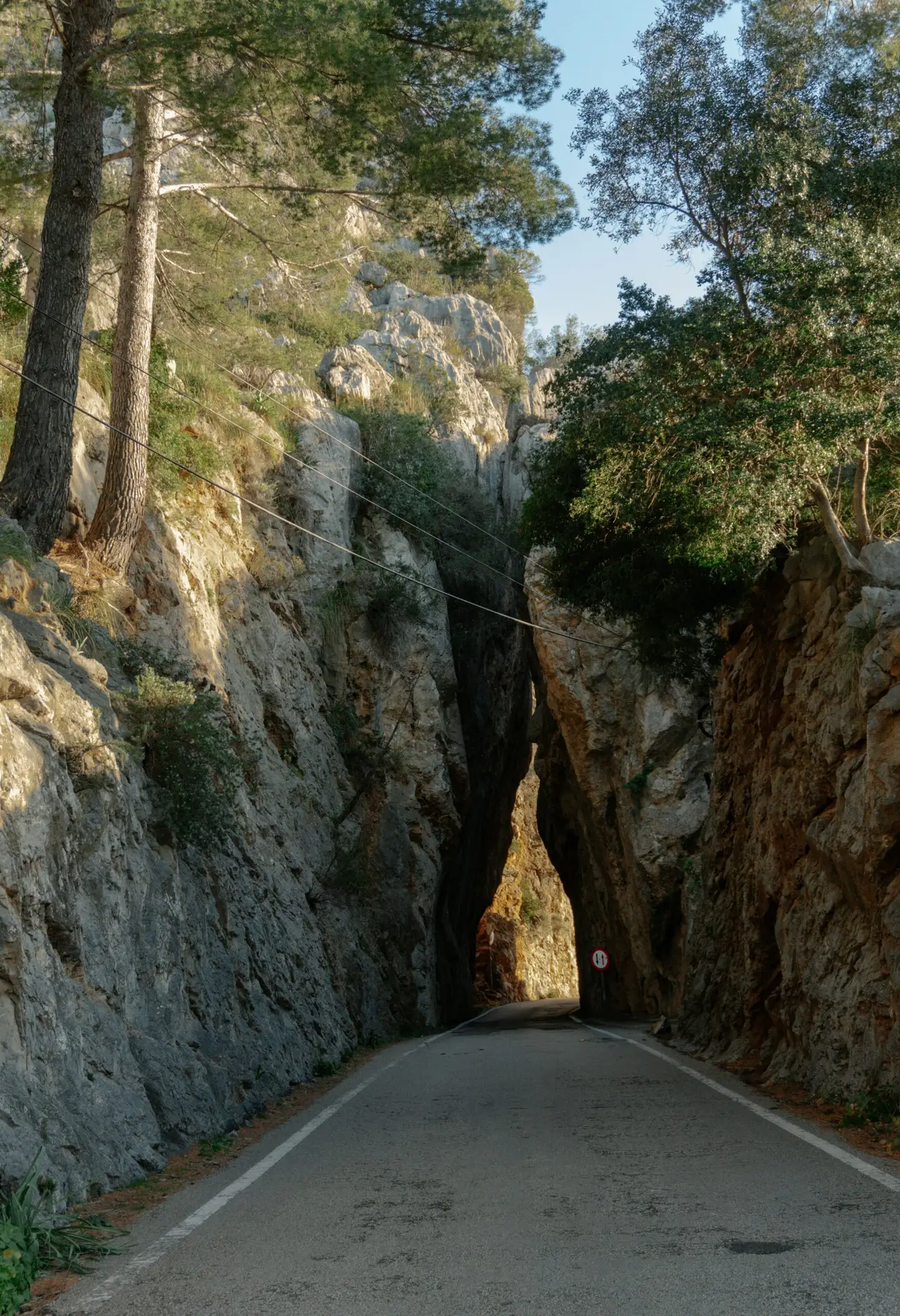 Home raymond petrik dgl 9wblepw unsplash